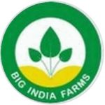 Big India farms