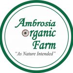 Ambrosia Organic Farm