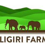 Biligiri Farms