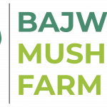 Bajwa Mushroom Farm